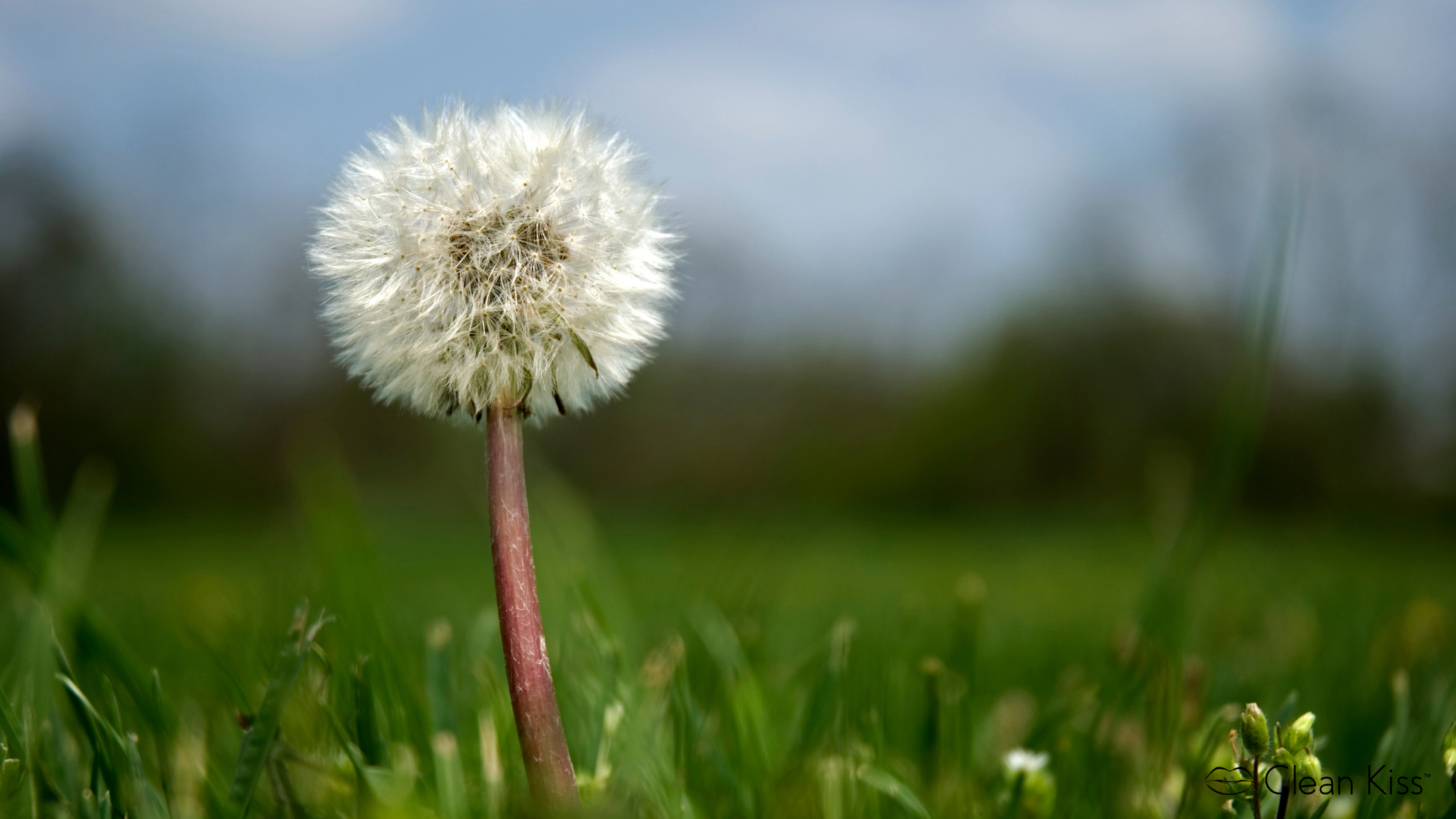 Take this "Simplicity Test" To Evaluate Your Life - Clean Kiss