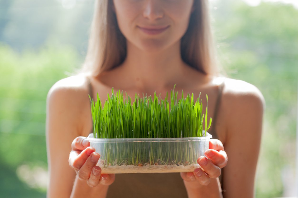 How to Guide for Growing your Greens for Naturally Beautiful Skin and Hair